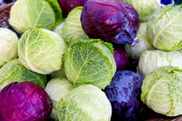 Organically grown colorful cabbage on the counter at the Farmer's market.