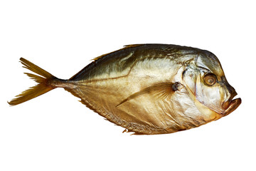 Smoked moonfish isolated on white with clipping path