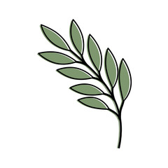 Fototapeta premium olive branch isolated icon vector illustration design
