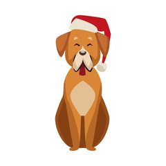 Cute dog with christmas santa claus hat icon vector illustration graphic design