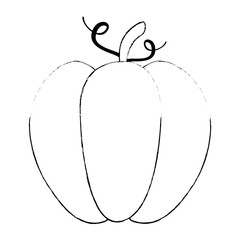 pumpkin fresh isolated icon vector illustration design