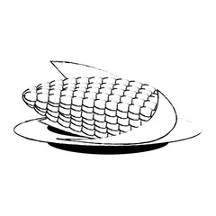 corn fresh isolated icon vector illustration design
