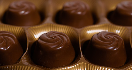 Group of chocolate pralines in a box close up