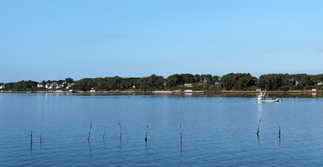 culture de l'huitre dans le golfe du Morbihan