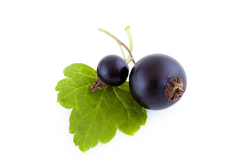 Two black currants with leaf