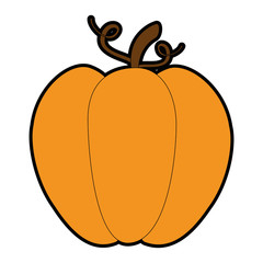 Obraz premium pumpkin fresh isolated icon vector illustration design