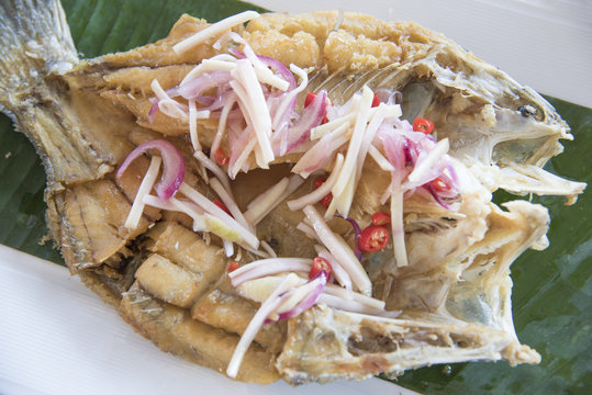 fried snapper fish
