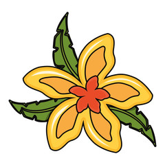 beautiful tropical flowers design 