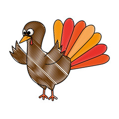 thanksgiving turkey character icon vector illustration design