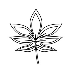 tropical leaves design