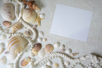 composition of sea shells and pearl beads , the background to your fantasies and ideas