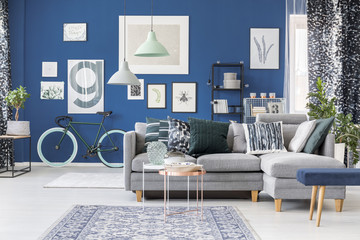 Spacious blue living room