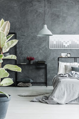 Dark bedroom with plant