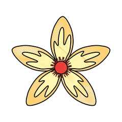 beautiful tropical flowers design 