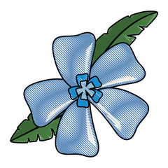 beautiful tropical flowers design 