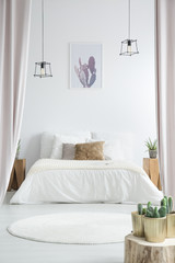 Cactus in white bedroom