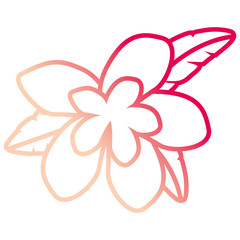 beautiful tropical flowers design 