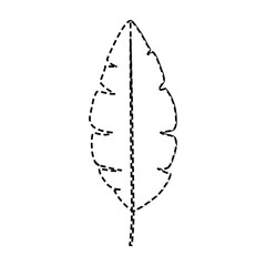 tropical leaves design