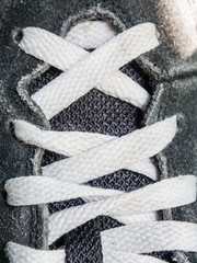 shoelace