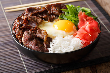 Gyudon beef with rice, egg and onion closeup in a bowl on the table. horizontal