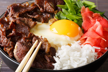 Japanese cuisine: gyudon beef with rice and onion macro. horizontal