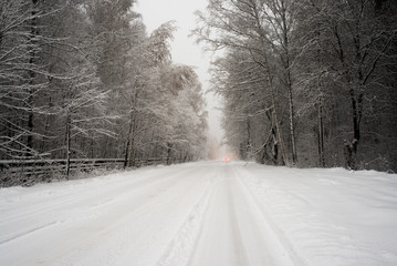 snow-covered road in the forest