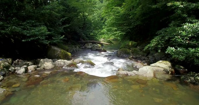 transparent river flows through rocks among  trees