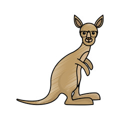 cute kangaroon icon image