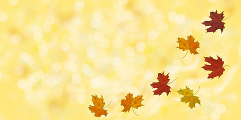 Obraz premium Autumn background with maple leaves