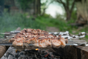 Appetizing shish kebab is fried on a skewers outdoor