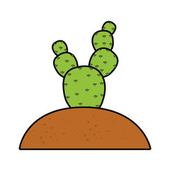 paddle cactus icon
