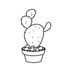 cartoon cactus in a pot