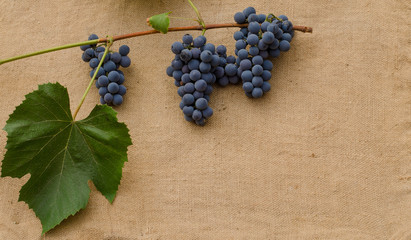 grapes