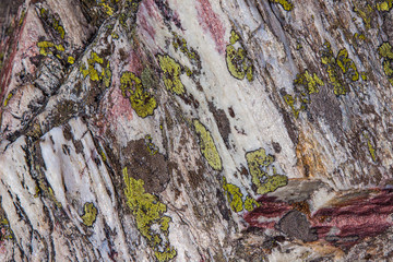 Krkonose National Park, the highest mountain in the Czech Republic