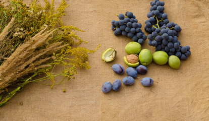 wild flowers and fruits