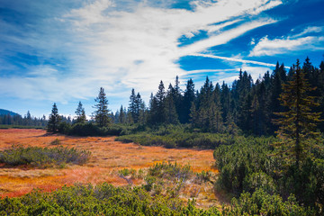 Krkonose National Park, the highest mountain in the Czech Republic