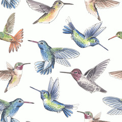 Fototapeta premium Hummingbirds watercolor pattern