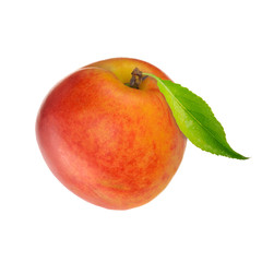 nectarine with leaf isolated