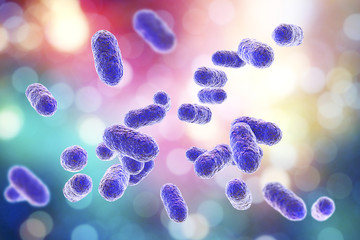 Porphyromonas gingivalis bacteria, 3D illustration. Anaerobic bacteria that cause periodontal disease, bacterial vaginosis, are probably associated with rheumatoid arthritis and esophageal cancer