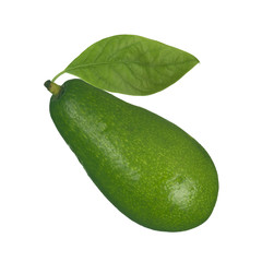 avocado with leaf isolated