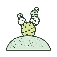 paddle cactus icon