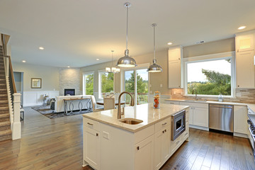 Luxury white kitchen with large kitchen island.