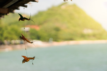 Sea view with mountain and soft focus so beautiful nature
