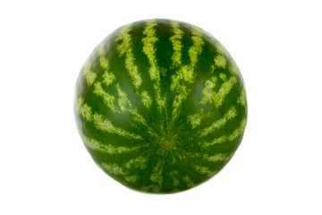 watermelon isolated