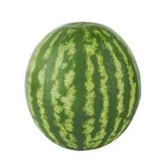 watermelon isolated