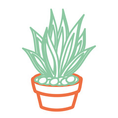 cartoon cactus in a pot