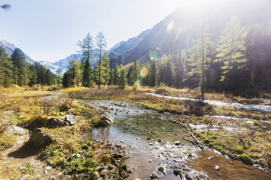 Brook in the Kuiguk Valley, Altai mountains landscape.