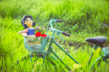 doll on bike in field