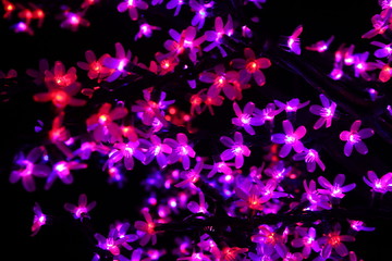 Decorative purple flowers lights hanging on tree as winter decoration. Abstract black purple background with glowing flowers. - Powered by Adobe
