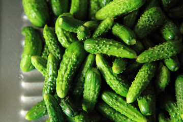 small green cucumbers